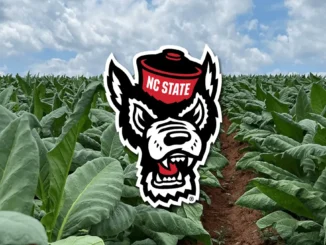 A red and white robotic figure in a green leafy field.